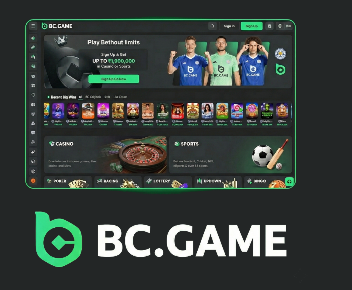 BC.Game Pakistan Registration Process Explained